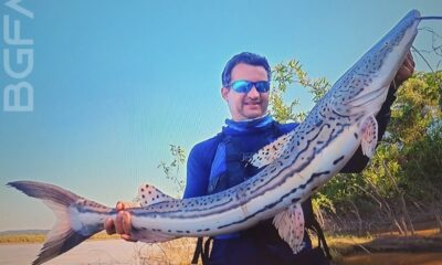 pescador-de-ro-pega-maior-surubim-lenha-do-brasil-e-bate-recorde