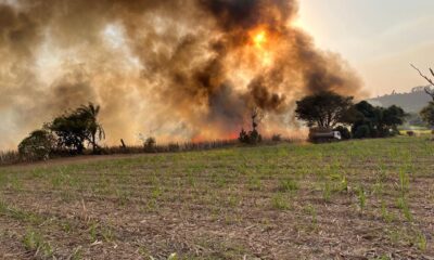 governo-de-sao-paulo-lanca-pacote-de-r$-10-milhoes-para-produtores-rurais-afetados-por-incendios