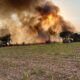 governo-de-sao-paulo-lanca-pacote-de-r$-10-milhoes-para-produtores-rurais-afetados-por-incendios