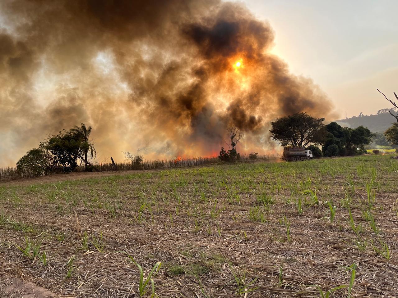 governo-de-sao-paulo-lanca-pacote-de-r$-10-milhoes-para-produtores-rurais-afetados-por-incendios