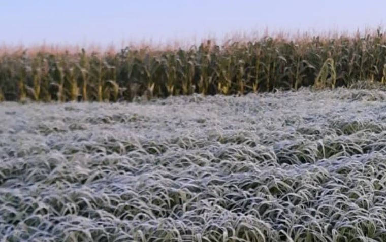 sul-amanhece-com-geada-e-temperaturas-baixas;-veja-a-previsao-do-tempo