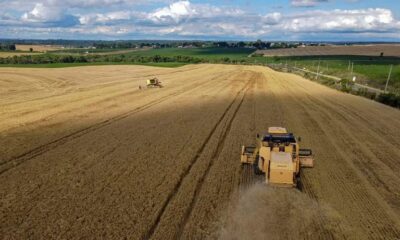 lei-define-capital-nacional-da-cevada-e-do-malte