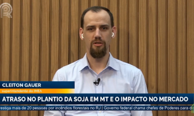 mt:-atraso-no-plantio-da-soja-e-o-impacto-no-mercado