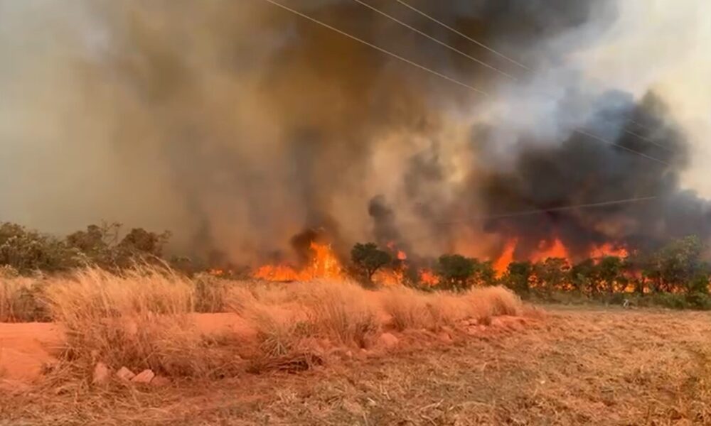 morte-de-brigadistas-em-incendio-florestal-e-investigada-pela-policia-civil