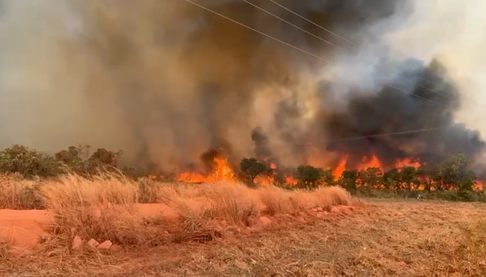 morte-de-brigadistas-em-incendio-florestal-e-investigada-pela-policia-civil