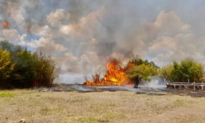 cna-faz-12-recomendacoes-aos-produtores-impactados-por-incendios