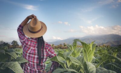 cna-destaca-sustentabilidade-do-agro-brasileiro-em-evento