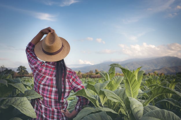 cna-destaca-sustentabilidade-do-agro-brasileiro-em-evento