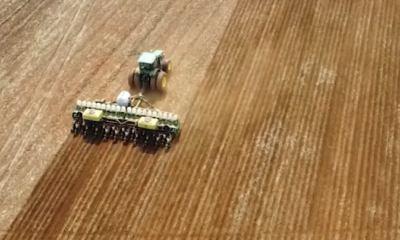 soja:-confira-a-projecao-da-conab-para-a-safra-brasileira-24/25