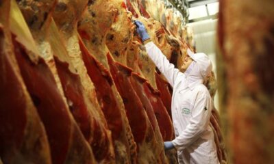 brasil-avanca-nas-negociacoes-para-exportacao-de-carne-bovina-a-turquia