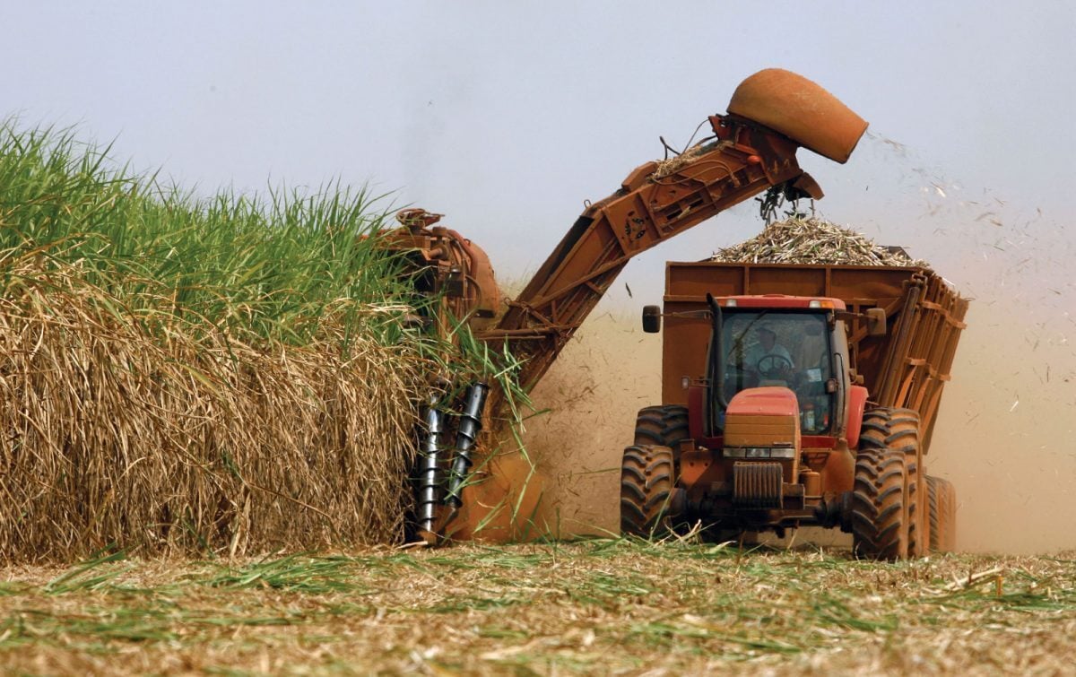 mercado-de-credito-de-carbono-pode-aumentar-ganhos-de-produtores-de-cana,-diz-orplana