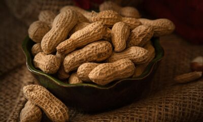 amendoim:-estado-dobra-area-plantada-e-consolida-2a-maior-producao-do-brasil