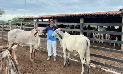 sebrae-subsidia-70%-em-biotecnologia-para-pequenos-pecuaristas