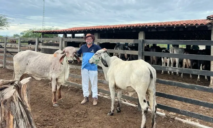 sebrae-subsidia-70%-em-biotecnologia-para-pequenos-pecuaristas