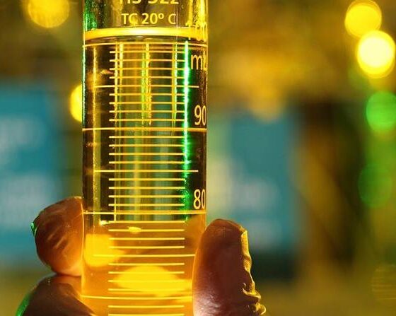 biocombustiveis-avancam,-mas-cenario-regulatorio-trava-investimentos,-diz-consultoria
