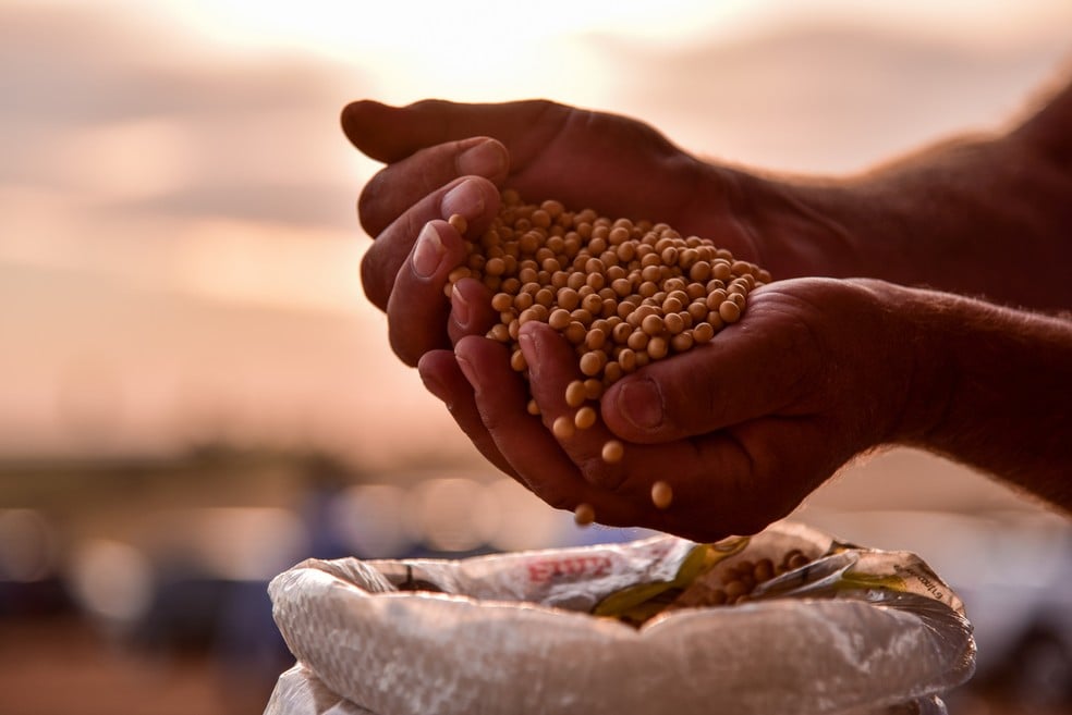 com-usda-a-vista,-comercializacao-de-soja-dispara-no-brasil;-como-ficou-o-mercado?