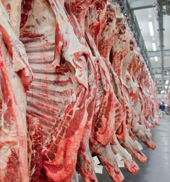 parceria-brasil-tailandia-reforca-sanidade-e-comercio-de-carnes