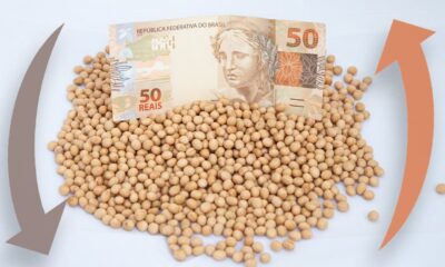 soja:-alta-de-chicago-e-queda-do-dolar-impactam-precos-no-brasil