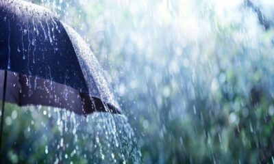 temperaturas-acima-da-media-e-chuva-de-60-mm:-confira-a-previsao-de-hoje