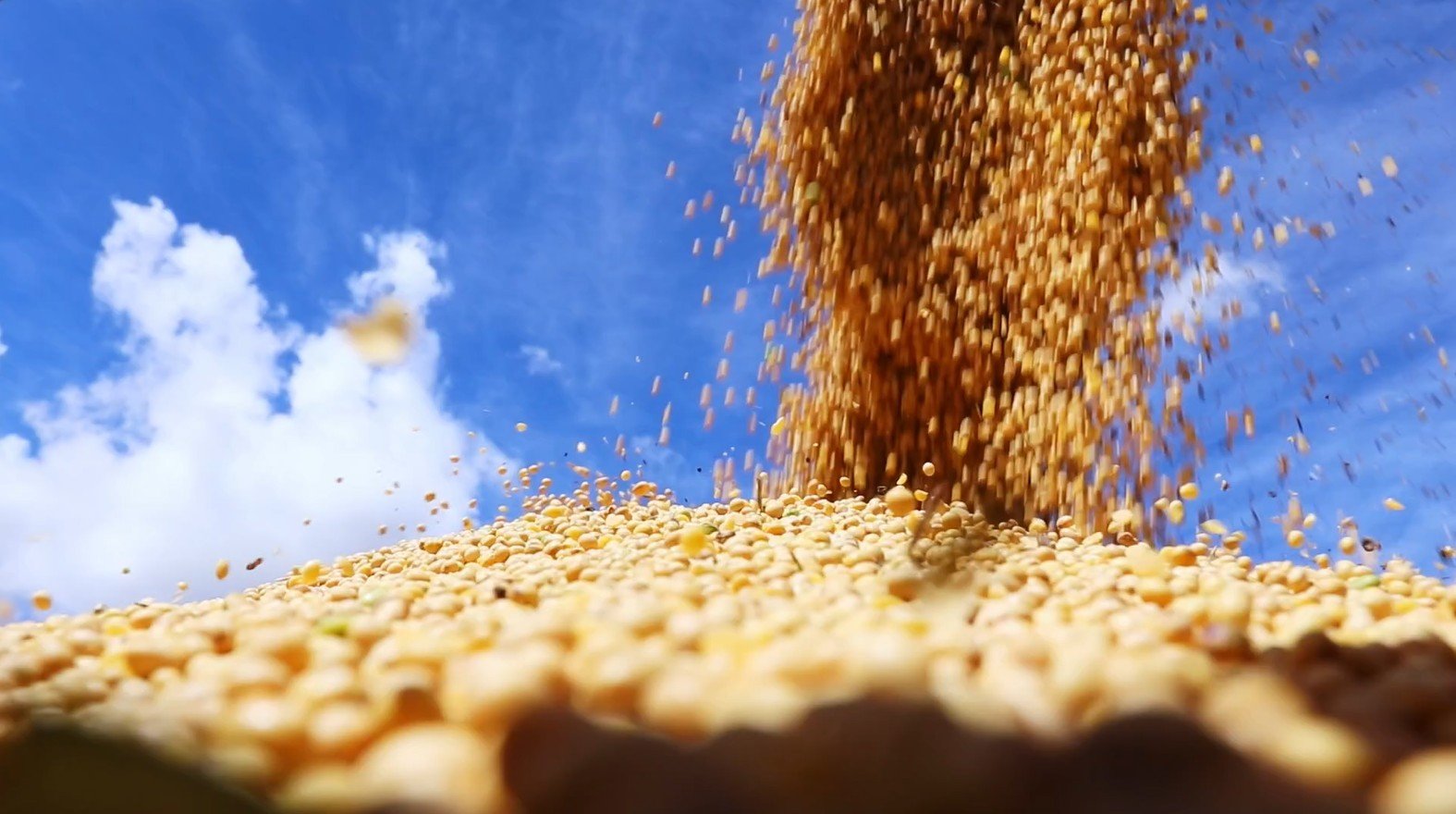 saiba-como-ficou-o-mercado-de-soja-apos-os-numeros-do-usda