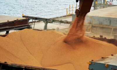 importacao-de-soja-brasileira-pela-china-cai-22,2%-em-abril-ante-2024
