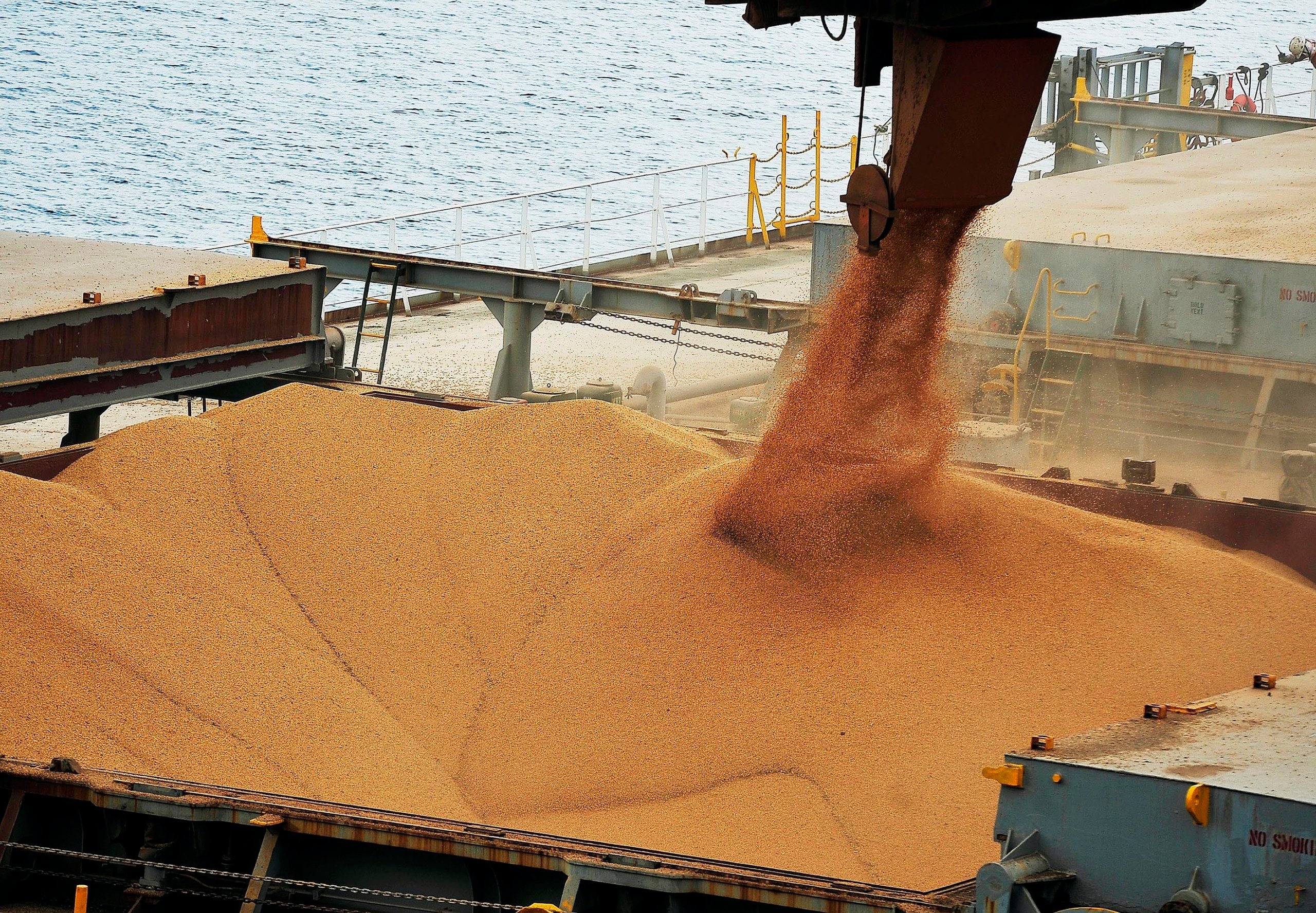 importacao-de-soja-brasileira-pela-china-cai-22,2%-em-abril-ante-2024