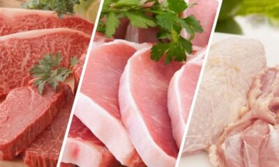 exportacao-de-carne-bovina-e-suina-segue-aquecida;-frango-recua-levemente