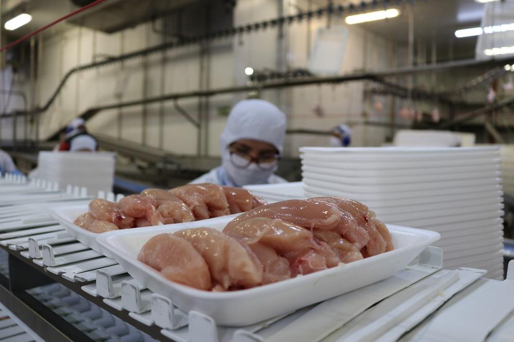exportacoes-de-carne-de-frango-de-todo-o-pais-estao-suspensas-para-24-mercados,-diz-favaro