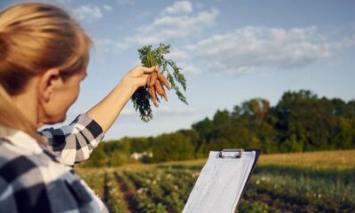 apos-tirar-o-mei-qual-a-principal-duvida-do-produtor-rural? 