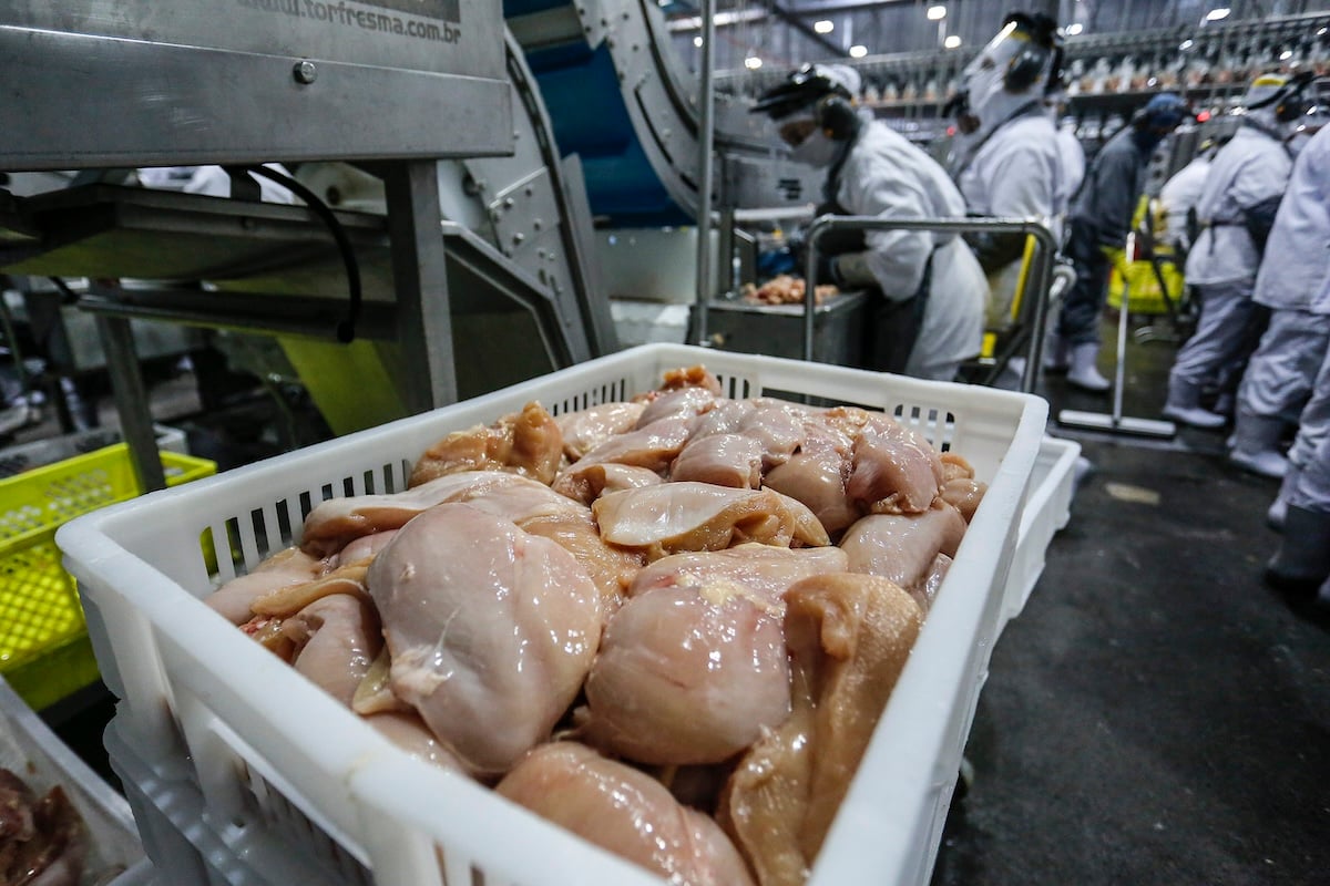 gripe-aviaria:-jordania-e-kuwait-reduzem-restricoes-ao-frango-brasileiro