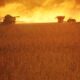 soja-‘morna’-no-brasil:-usda-repete-numeros-enquanto-conab-projeta-safra-recorde