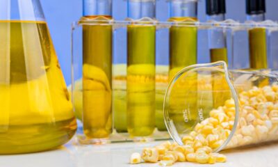 industria-de-etanol-de-milho-deve-registrar-margem-de-ate-34,7%-em-25/26,-diz-consultoria