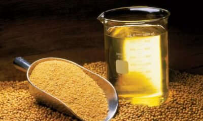 oleo-de-soja:-cotacoes-valorizam-frente-ao-cenario-geopolitico