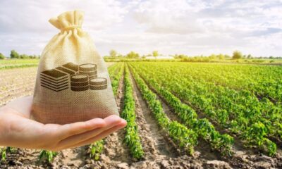 cmn-ajusta-regras-de-direcionamentos-de-credito-rural-e-do-proagro