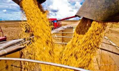 plano-safra-pode-impulsionar-credito,-mecanizacao-e-lucro-para-produtor-de-soja,-diz-comentarista