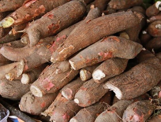 mandioca:-mesmo-com-avancos-na-comercializacao-precos-recuam