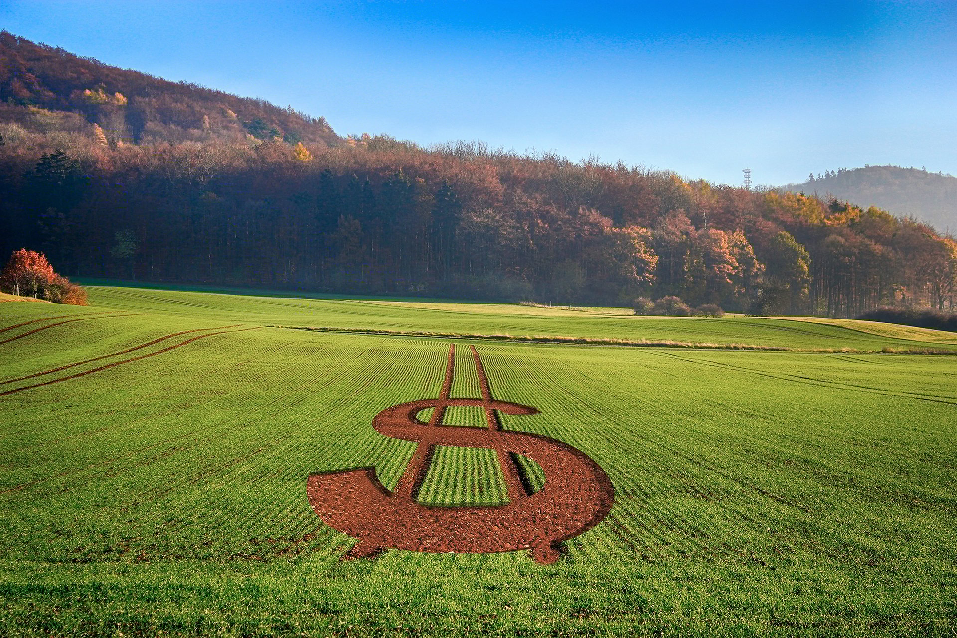 seguro-rural-e-sustentabilidade:-corte-no-orcamento-ameaca-seguranca-alimentar