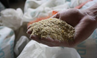 farelo-recua-e-oleo-de-soja-sobe-em-mato-grosso