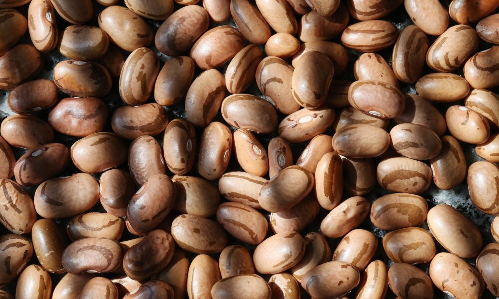 feijao:-com-acumulo-de-estoques,-quedas-prevalecem-em-julho