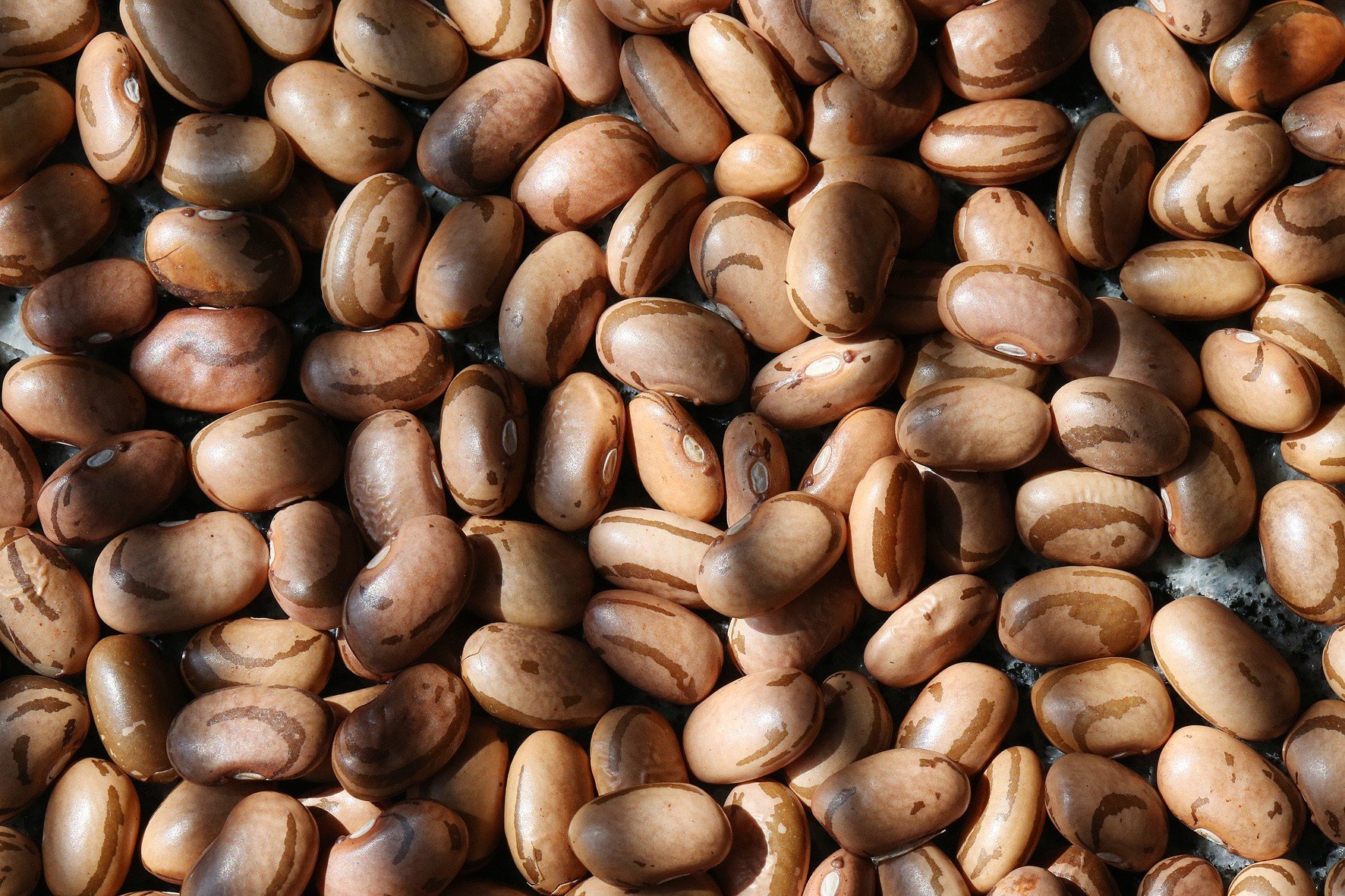 feijao:-com-acumulo-de-estoques,-quedas-prevalecem-em-julho