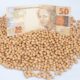 precos-da-soja-continuam-impactados-por-relatorio-do-usda;-veja-cotacoes