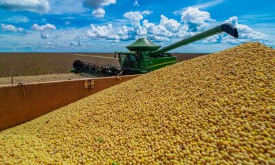 produtores-de-soja-do-oeste-da-bahia-tem-ate-este-domingo-para-cadastro-de-plantio-antecipado