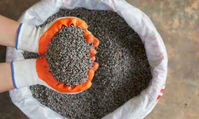 fertilizantes:-o-futuro-do-alimento-depende-da-riqueza-que-ha-sob-os-nossos-pes