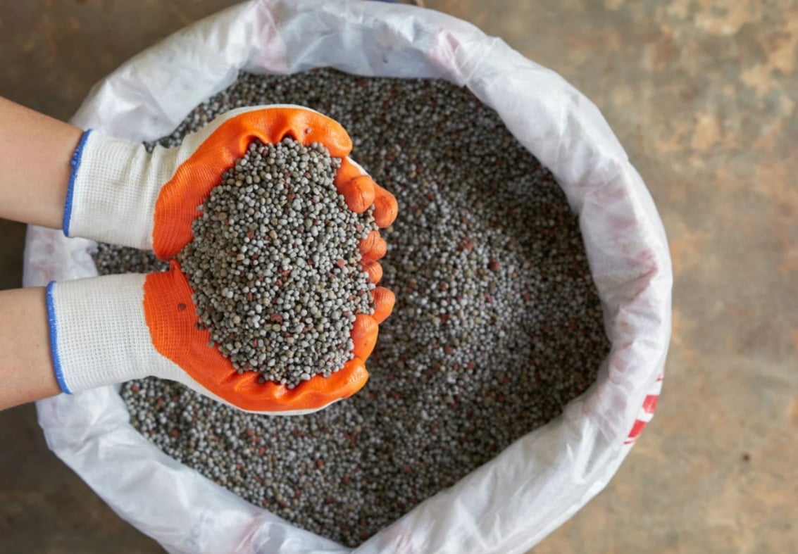 fertilizantes:-o-futuro-do-alimento-depende-da-riqueza-que-ha-sob-os-nossos-pes