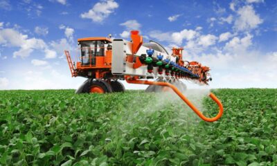 proibicao-de-herbicida-no-rs-gera-embate-entre-produtores-de-frutas-e-de-soja