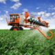 proibicao-de-herbicida-no-rs-gera-embate-entre-produtores-de-frutas-e-de-soja