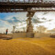 exportacoes-de-milho-avancam-em-setembro-em-compasso-com-demanda-por-carnes-e-etanol