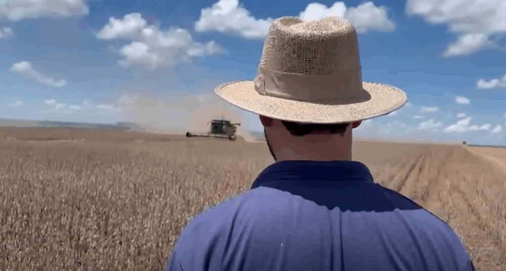 comissao-da-agricultura-da-camara-aprova-estatuto-do-produtor-rural