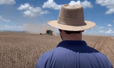 comissao-da-agricultura-da-camara-aprova-estatuto-do-produtor-rural