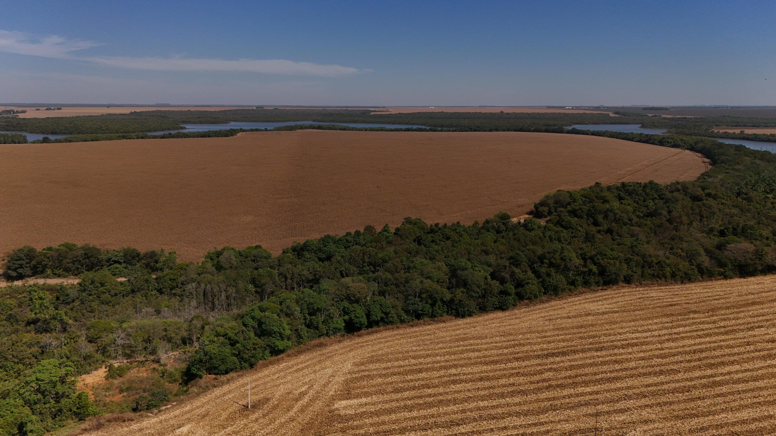 governo-interferir-na-moratoria-da-soja-e-uso-indevido-da-maquina-publica,-acusa-a-fpa